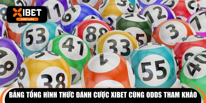 Bảng tổng hình thức đánh cược XIBET cùng odds tham khảo