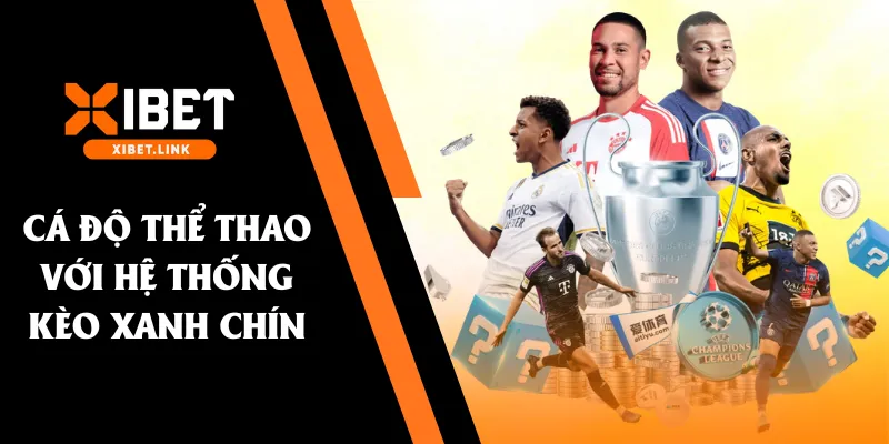 Cá độ thể thao với hệ thống kèo xanh chín