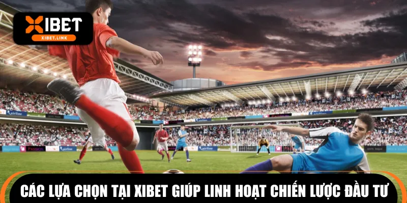 Các lựa chọn tại XIBET giúp linh hoạt chiến lược đầu tư