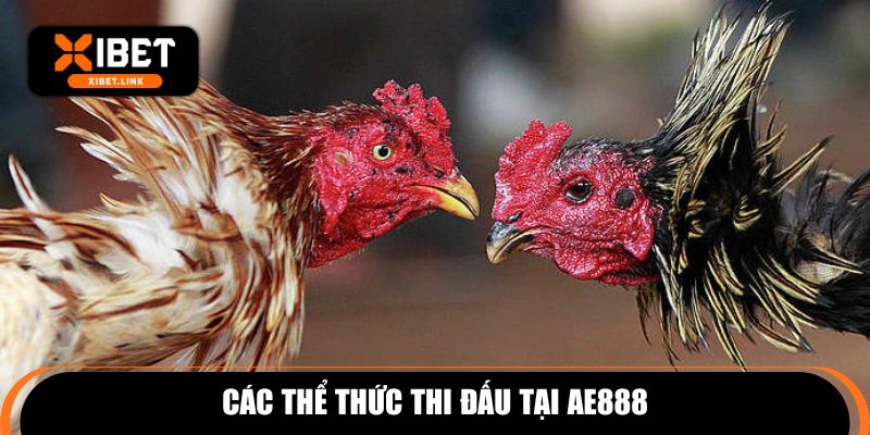 Các thể thức thi đấu tại AE888