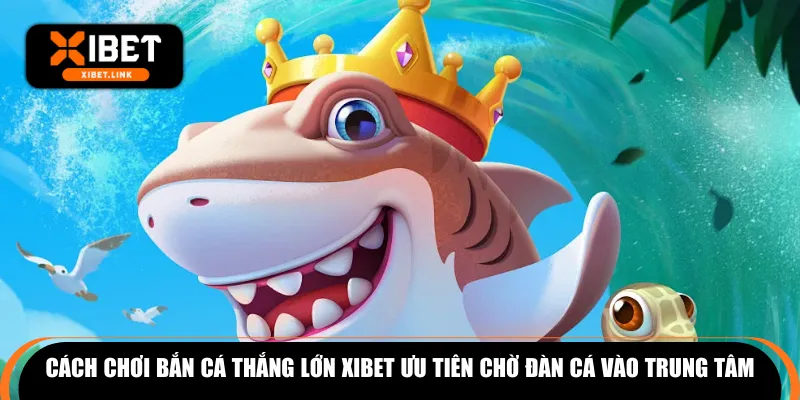 Cách chơi bắn cá thắng lớn XIBET ưu tiên chờ đàn cá vào trung tâm