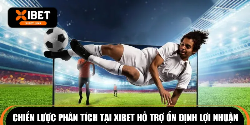 Chiến lược phân tích tại XIBET hỗ trợ ổn định lợi nhuận