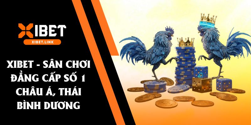 đá gà ae888 xibet