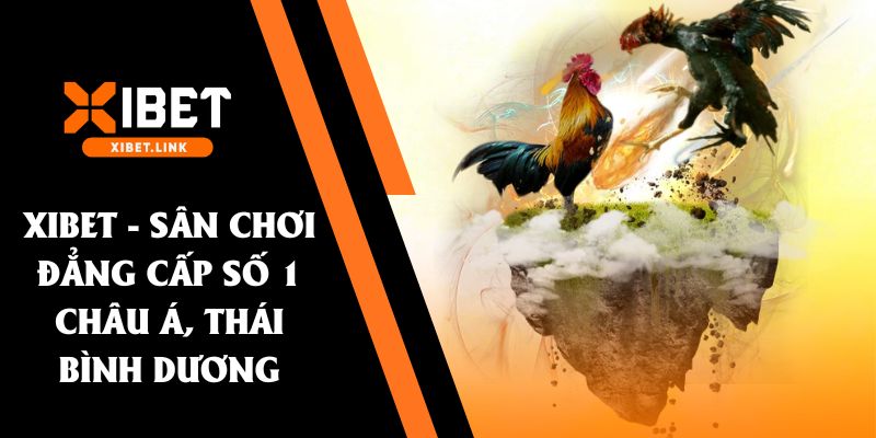 đá gà thomo xibet