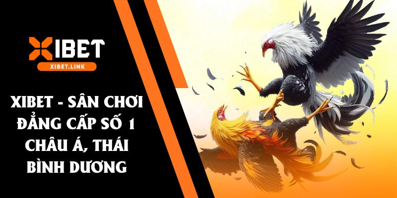đá gà vip xibet