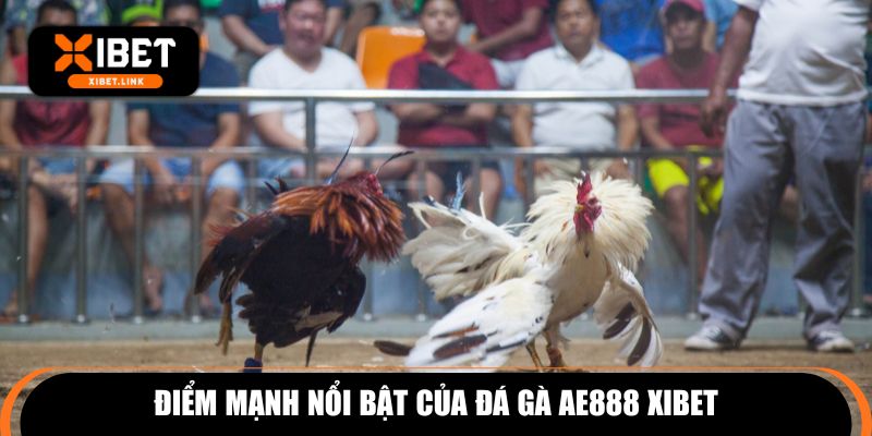 Điểm mạnh nổi bật của đá gà AE888 XIBET