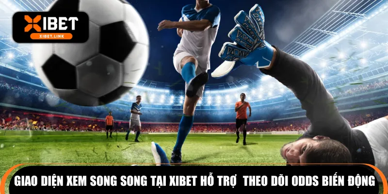 Giao diện xem song song tại XIBET hỗ trợ  theo dõi odds biến động