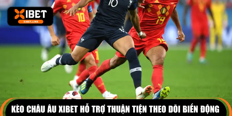 Kèo châu Âu XIBET hỗ trợ thuận tiện theo dõi biến động 