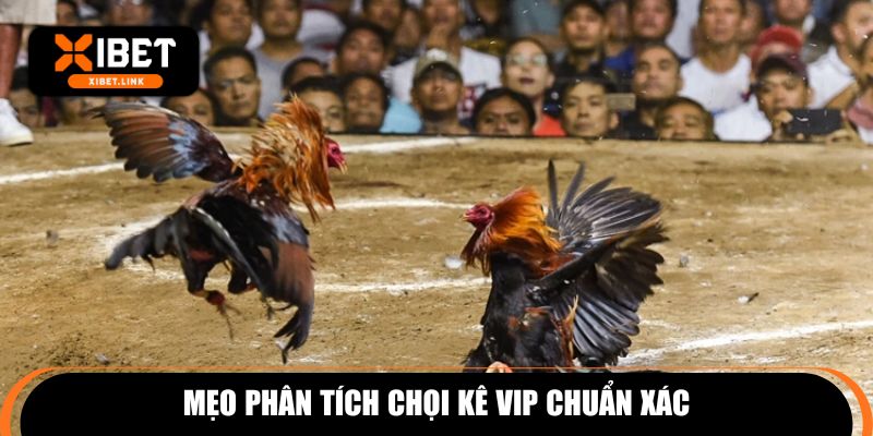 Mẹo phân tích chọi kê VIP chuẩn xác