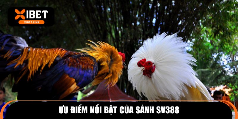 Ưu điểm nổi bật của sảnh SV388